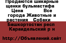 Продаются шикарные щенки бульмастифа › Цена ­ 45 000 - Все города Животные и растения » Собаки   . Башкортостан респ.,Караидельский р-н